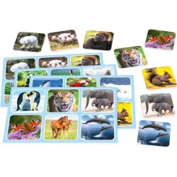 Zoo Lotto - Jeux de Société - SCHMIDT SPIELE - Amusez-vous en famille avec ce...