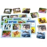 Zoo Lotto - Jeux de Société - SCHMIDT SPIELE - Amusez-vous en famille avec ce...