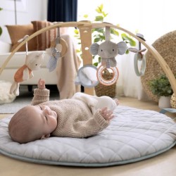 INGENUITY Tapis d'éveil réversible  bébé évolutif - Loamy™ -  pliable, arche ...