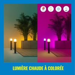 Kit de Démarrage Borne Connectée WIZ ELPAS 12V Extérieur - Windmills