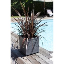 Pot de fleurs Carré 50 cm - EDA - Graphit - 57 L - 49,5 x 49,5 x H. 49,5 cm -...