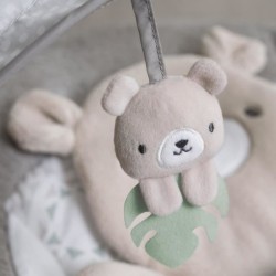 INGENUITY Transat bébé confort Petit Ourson, Arche d'éveil lumineuse, Coussin...