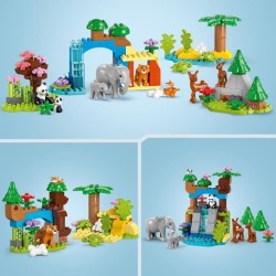 LEGO DUPLO Ma ville 10446 Familles d'animaux sauvages 3-en-1 - Jeux d'éveil a...