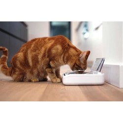 SUREFEED Distributeur de nourriture automatique pour chat anti-odeur - Blanc ...