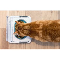 SUREFEED Distributeur de nourriture automatique pour chat anti-odeur - Blanc ...