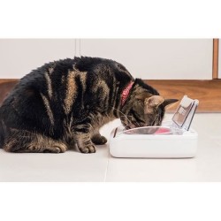 SUREFEED Distributeur de nourriture automatique pour chat anti-odeur - Blanc ...