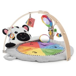 BABY EINSTEIN ZEN LE ZEBRE Tapis d'éveil arche de jeu en bois,  jouets multis...