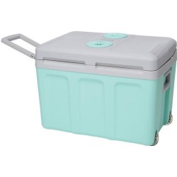 Glaciere thermoélectrique INCASA 40L - Alimentation 12/220V - Vert - Idéale p...