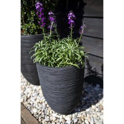 CAPI EUROPE Vase élégant bas RIB NL - 46x58 cm - Noir