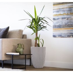 CAPI EUROPE Vase GROOVE - Ivoire - 46x58 cm - 100% recyclable