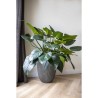 CAPI EUROPE Vase élégant GROOVE - 46x58 cm - Anthracite - 100% recyclable