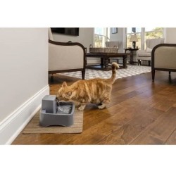 PetSafe - Fontaine a Eau Drinkwell pour Animaux - Idéale pour Chat/Petits Chi...