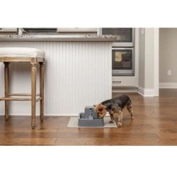 PetSafe - Fontaine a Eau Drinkwell pour Animaux - Idéale pour Chat/Petits Chi...