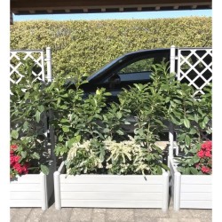 STEFANPLAST Bac a fleurs rectangulaire - ITALIA - Finition effet bois - 100x4...