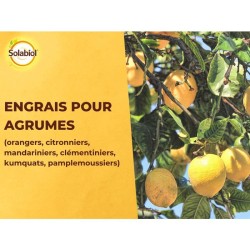 SOLABIOL Engrais agrumes - 1,5kg - Favorise la fructification - Nutrition lon...