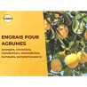 SOLABIOL Engrais agrumes - 1,5kg - Favorise la fructification - Nutrition lon...