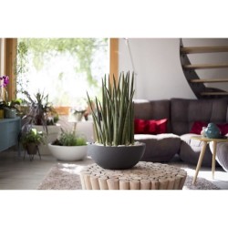 Pot vasque Ø 40 cm - EDA - Graphit Up - 14,9 L - Intérieur / Extérieur - Ø 40...