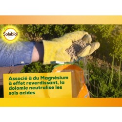 SOLABIOL Carbonate de chaux & de magnésium - 10kg - Granulés - Corrige l'acid...