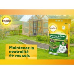 SOLABIOL Carbonate de chaux & de magnésium - 10kg - Granulés - Corrige l'acid...