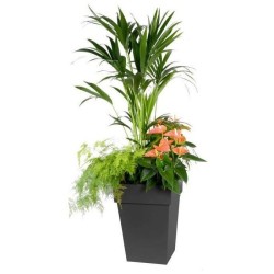 Pot de fleurs mi-haut Carré 40 cm - EDA - Toscane - 51 L - 39 x 39 x H. 53 cm...