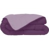 CALGARY - Couette Chaude Microfibre 400gr/m² - Prune & Parme - 240 x 260 cm