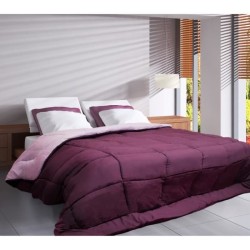 CALGARY - Couette Chaude Microfibre 400gr/m² - Prune & Parme - 240 x 260 cm