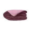 CALGARY - Couette Chaude Microfibre 400gr/m² - Prune & Parme - 240 x 260 cm