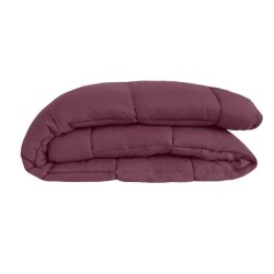 CALGARY - Couette Chaude Microfibre 400gr/m² - Prune & Parme - 240 x 260 cm
