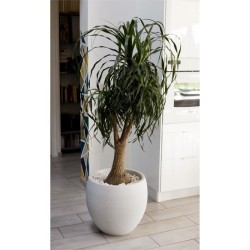 Pot de fleurs Rond Egg Ø 50cm - EDA - Graphit - 46 L - Ø 50 x H. 45 cm - Blan...