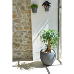 Pot de fleurs Rond Egg Ø 50cm - EDA - Graphit - 46 L - Ø 50 x H. 45 cm - Gris...