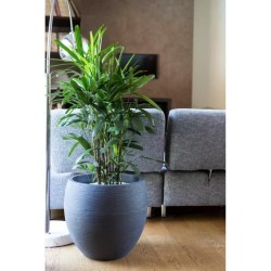 Pot de fleurs Rond Egg Ø 50cm - EDA - Graphit - 46 L - Ø 50 x H. 45 cm - Gris...