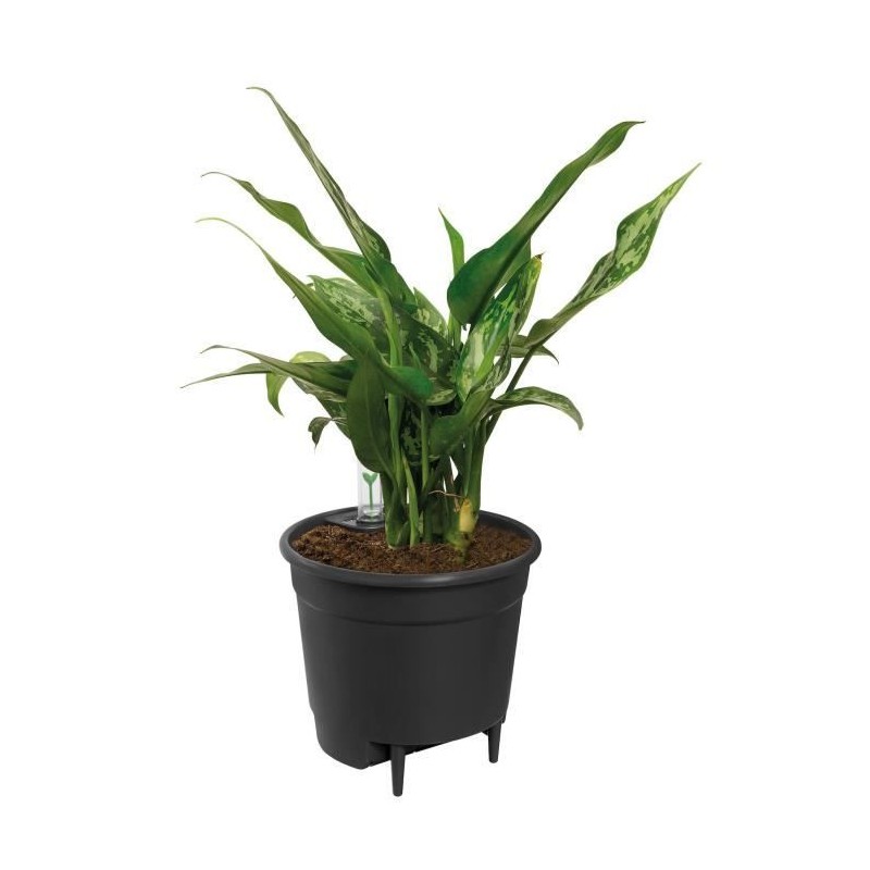 ELHO Pot a fleurs Self-watering Insert - Ø 33 x H 31 cm - Intérieur, accessoi...