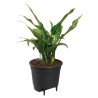 ELHO Pot a fleurs Self-watering Insert - Ø 33 x H 31 cm - Intérieur, accessoi...