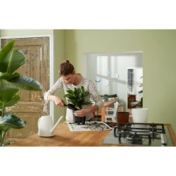 ELHO Pot a fleurs Self-watering Insert - Ø 33 x H 31 cm - Intérieur, accessoi...
