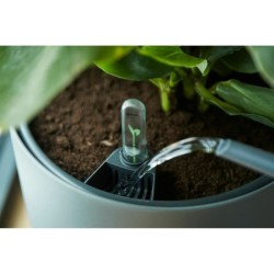 ELHO Pot a fleurs Self-watering Insert - Ø 33 x H 31 cm - Intérieur, accessoi...