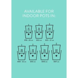 ELHO Pot a fleurs Self-watering Insert - Ø 33 x H 31 cm - Intérieur, accessoi...