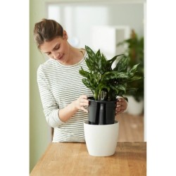 ELHO Pot a fleurs Self-watering Insert - Ø 33 x H 31 cm - Intérieur, accessoi...