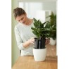ELHO Pot a fleurs Self-watering Insert - Ø 33 x H 31 cm - Intérieur, accessoi...