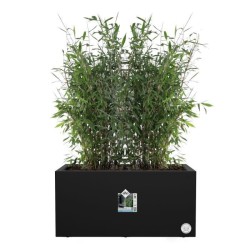 ELHO Bac a fleurs Vivo Next Long 60 - L 59 x W 30 x H 29 cm - Intérieur,Extér...