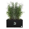 ELHO Bac a fleurs Vivo Next Long 60 - L 59 x W 30 x H 29 cm - Intérieur,Extér...