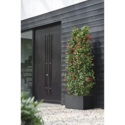 ELHO Bac a fleurs Vivo Next Long 60 - L 59 x W 30 x H 29 cm - Intérieur,Extér...
