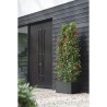 ELHO Bac a fleurs Vivo Next Long 60 - L 59 x W 30 x H 29 cm - Intérieur,Extér...