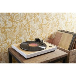 Platine vinyle THOMSON TT301 - Design bois et blanc - Tete de lecture Audio-T...