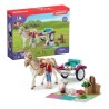 Caleche pour le spectacle équestre, coffret schleich avec 32 éléments