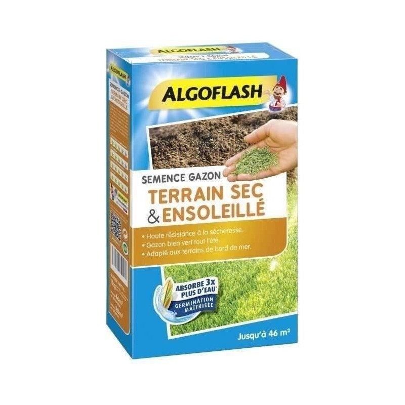 ALGOFLASH - Gazon terrain sec ensoleillé 1kg