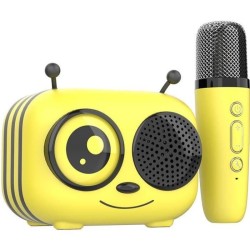 Kit karaoké / Enceinte Bluetooth et micro sans fil - CGV - MAYA, Effets voix ...