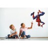 Appareil photo numérique enfant Spiderman - LEXIBOOK - Ecran LCD 2 pouces - G...