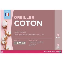 BLANREVE Lot de 2 Oreillers en coton - 60 x 60 cm - Blanc