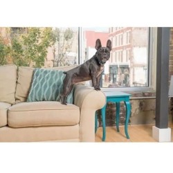 Collier anti aboiement pour Chien - PetSafe - Stimulation Eléctrostatique Pro...