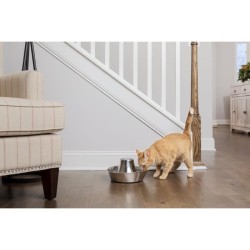 Fontaine pour Animaux - PETSAFE - SEASIDE - Inoxydable - 1,8 L - Silencieuse ...